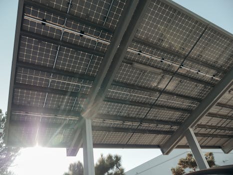 Oportunidades Verdes: Crecimiento de Energías Renovables en España